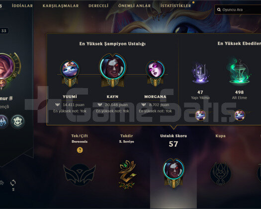 UNRANKED HANDMADE LOL HESABI