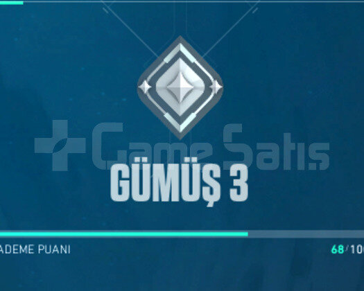 GÜMÜŞ ELO HESAP BOTLA KASILMADI