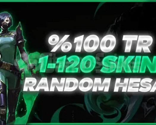 VIP / 10-120 SKİN GARANTİ / RANDOM HESAP