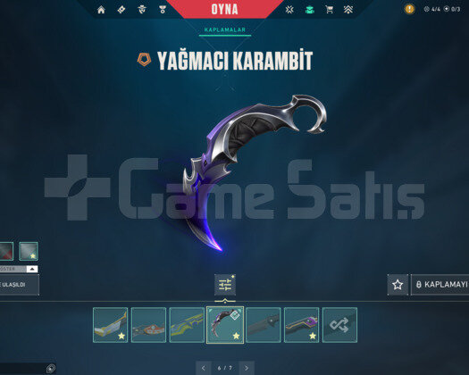 YAĞMACI VE ASİL KARAMBİT/DELİPOP E-POSTA HESAP