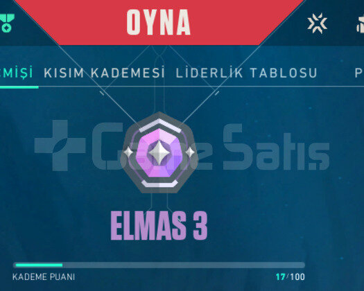 RGX KELEBEKLİ CHAMPİONS VANDALLI EFSANE ELMAS 3