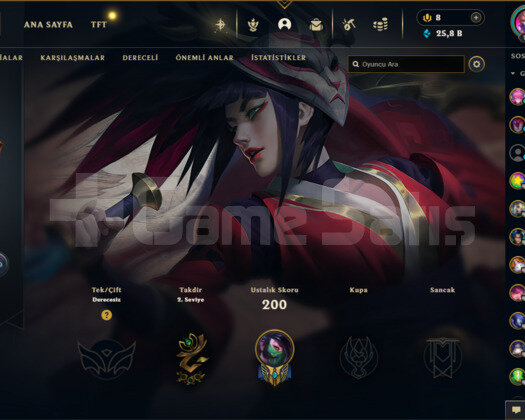 Bol skinli Valorant hesabı + LoL