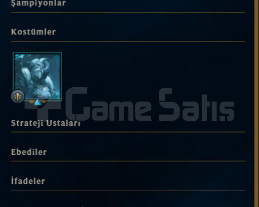 ELLE KASILMIŞ / 9 KOSTÜM / 4100 TURUNCU ÖZ