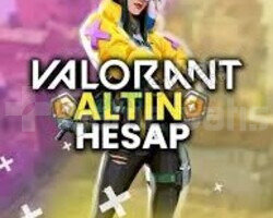 TR | MAİLLİ | SKİNSİZ | GOLD HESAP