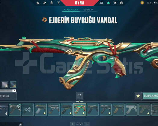 Dolu Dolu 8250TL Yatırılmış Tadında Bir Hesaptır..