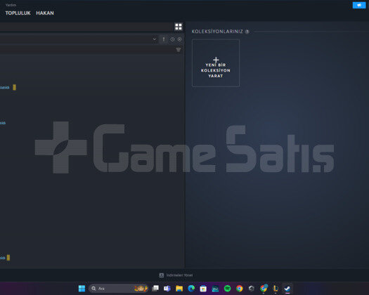 Steam hesabı 10 bin TL değerinde yarı fiyatına