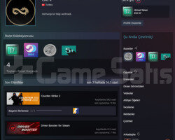 7 Madalyalı Temiz Steam Hesabı