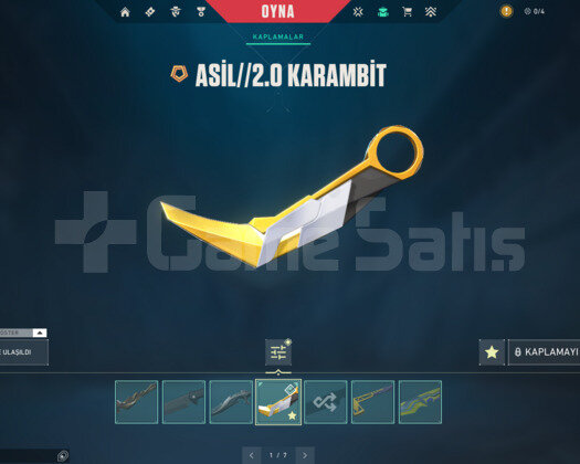 ASİL KARAMBİT/YELPAZE/HANÇER/ASİL E-POSTA HESAP