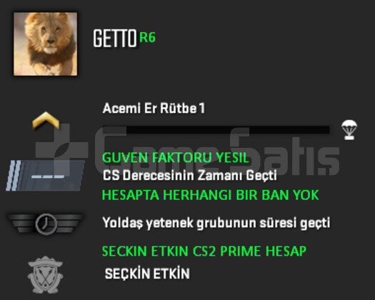 CS2 PRIME GUVEN FAKTORU YESIL