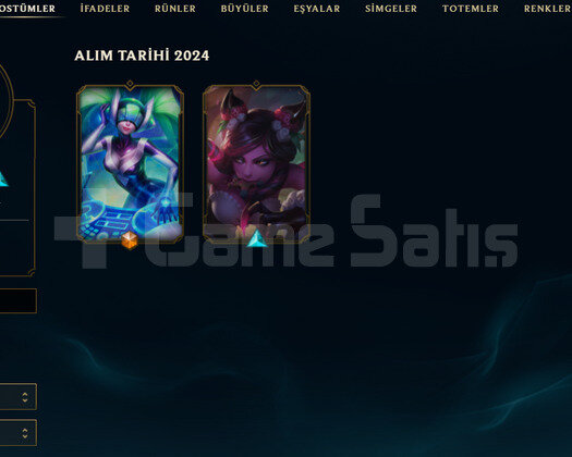 EUW Plat 4 | 2 Kostüm - 22 Hero | LoL Hesap