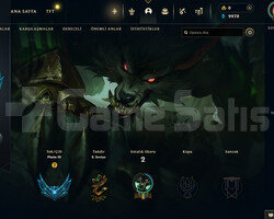 EUW Plat 3 | 21 Hero | LoL Hesap