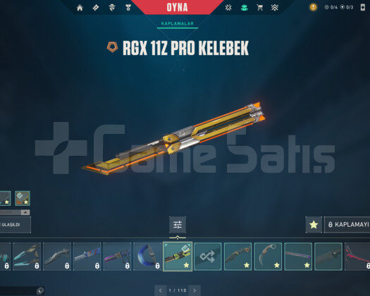 RGX PRO KELEBEK/YAĞMACI/ASİL/İYON E-POSTA HESAP