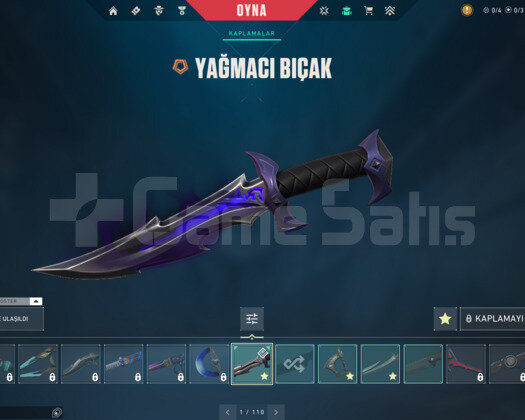 YAĞMACI BIÇAK/BLASTX/ASİL/İYON E-POSTA HESAP