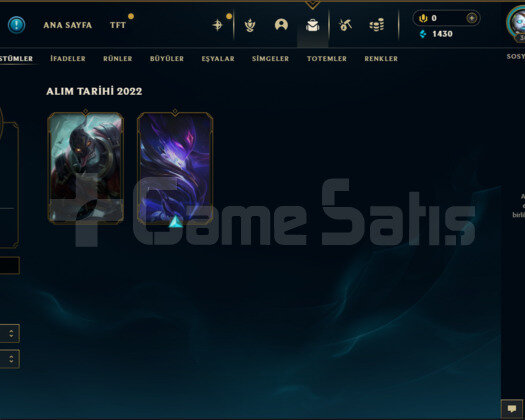 EUW 30 LVL SİLVER 4 GÜZEL KOSTUMLER TEMİZ HESAP