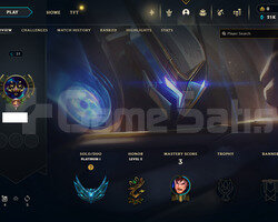 | TR - PLATİN 1 | 5 KOSTÜM |SMURF HESAP