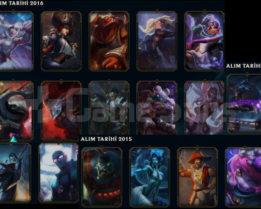 76 ŞAMPİYON 22 SKIN 2014 KURULUM HANDMADE