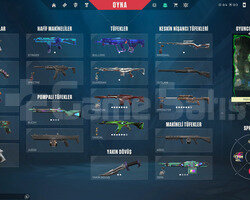 Skinli Valorant Hesabı + 9.589 VP