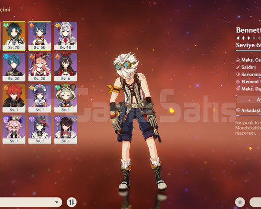 AR35 Xiao Raiden