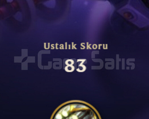 ELLE KASILMIŞ / 41 LEVEL / ESKİ BRONZ HESAP