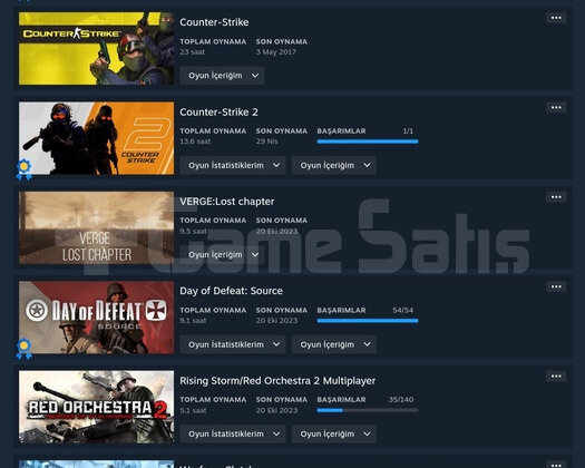 22 Seviye Dolu Steam Hesabı