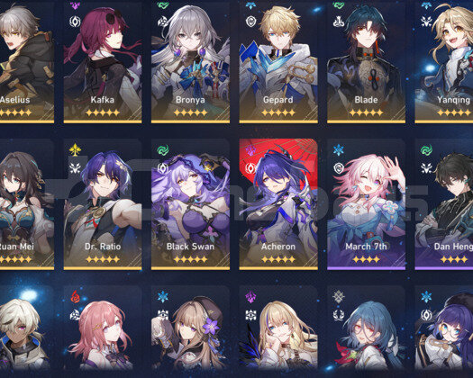 13X5 TL66 EU