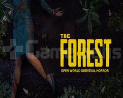 THE FOREST + GARANTİ