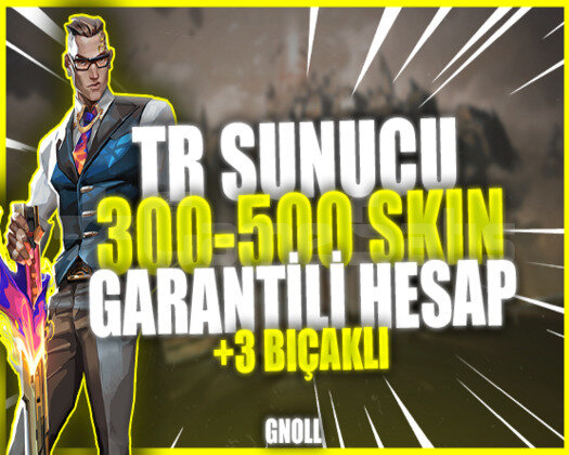 TR SUNUCU 300-500 SKİN ARASI V.İ.P HESAPLAR