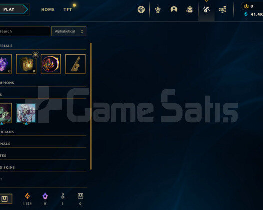 flex master 65 wr temiz hesap