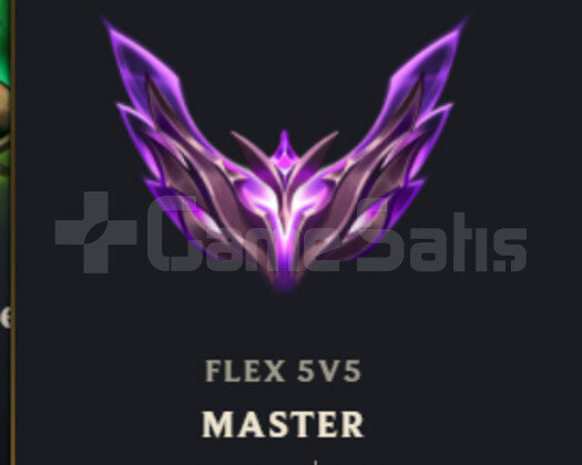 flex master 65 wr temiz hesap