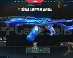 2 VANDALLI GARİBAN HESABI!!