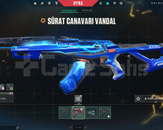 2 VANDALLI GARİBAN HESABI!!