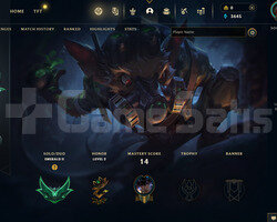 TR Zümrüt 2 | 2 Kostüm - 21 Hero | LoL Hesap