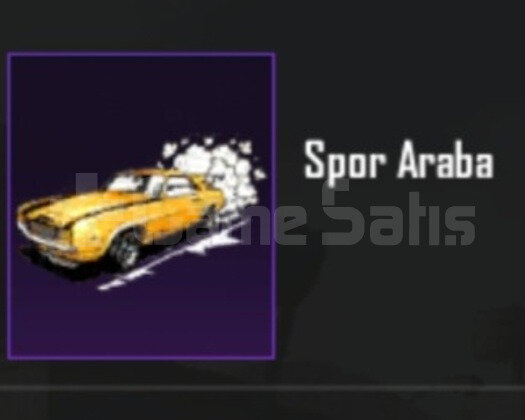 Pubg 3 Tane Spor Araba