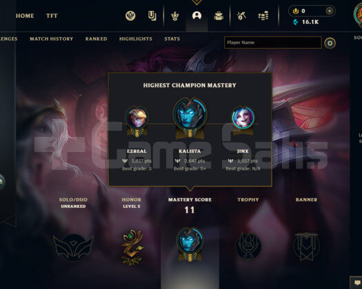 16K+MAVİ ÖZ TR UNRANKED FRESH TEMİZ HESAP 13 LVL