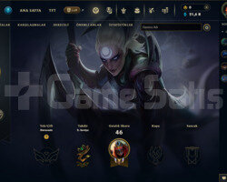 30 LVL 45.000 MAVİ ÖZ UNRANKED HESAP UYGUN FİYAT!