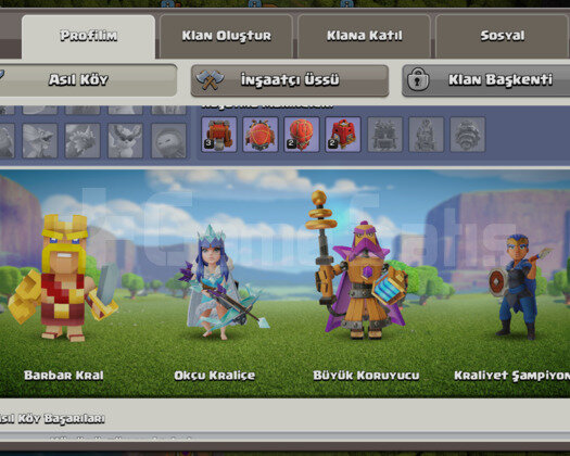 Full Duvar 13. BB Elit Hesap