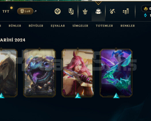 2022 KURULUM / 44 LEVEL / 16 BİN MAVİ ÖZ