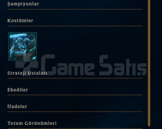 2020 KURULUM / 41 LEVEL / 4000 TURUNCU ÖZ