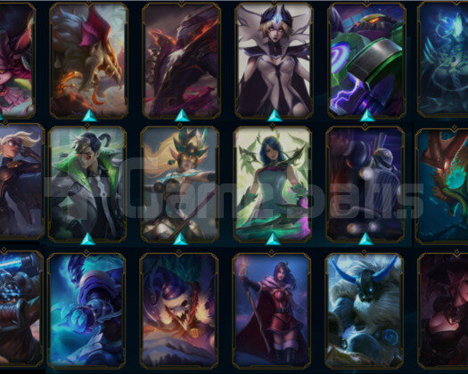2014 KURULUM 35 SKIN RARE SIMGELER
