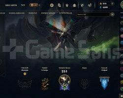 EUW- 86 LEVEL - 311 SKIN - 143 HERO - MAİNLİK