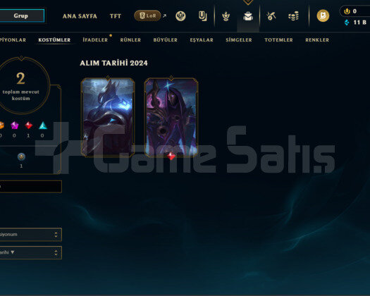 Plat 2 +35LP 2SKİN
