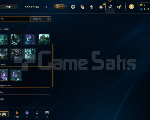 Plat 2 +35LP 2SKİN