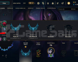Plat 2 +35LP 2SKİN