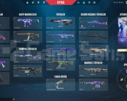 MÜKEMMEL DOLU MAİNLİK HESAP!