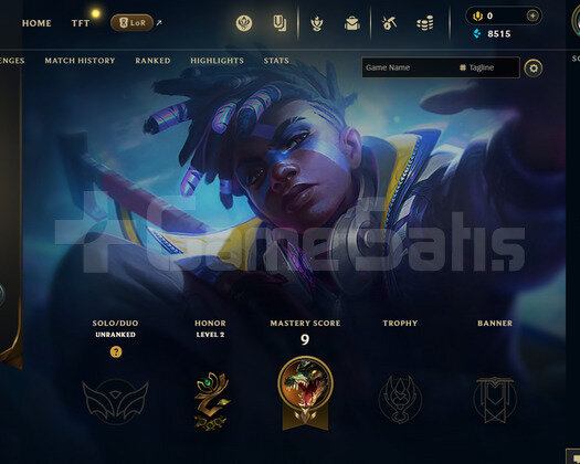 EUW Unranked | 2 Kostüm - 35 Hero | LoL Hesap