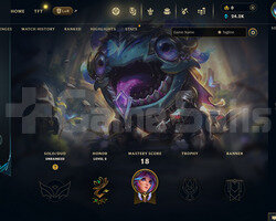 EUW Geçen Sezon Plat | 1 Kostüm - 30 Hero | LoL