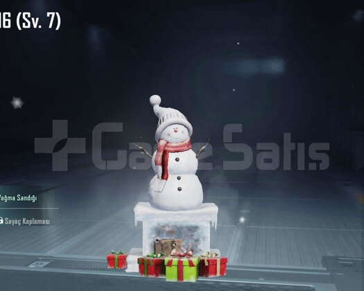 M416 BUZ DİYARİ 7 SV + BUZ AKM 4 SV + GÜZEL HESAP