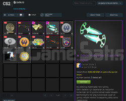 Seçkin+İlk Mailli+475 Dolar Envanterli Steam Hesap