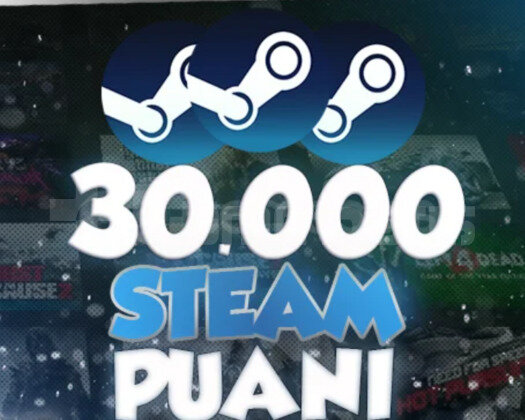 30K STEAM PUANI