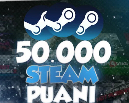 50K STEAM PUANI
